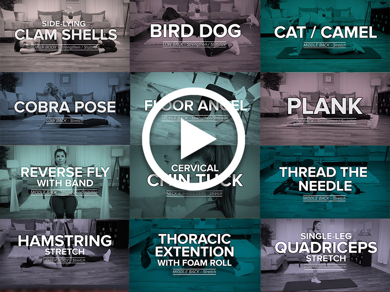 Exercise Videos